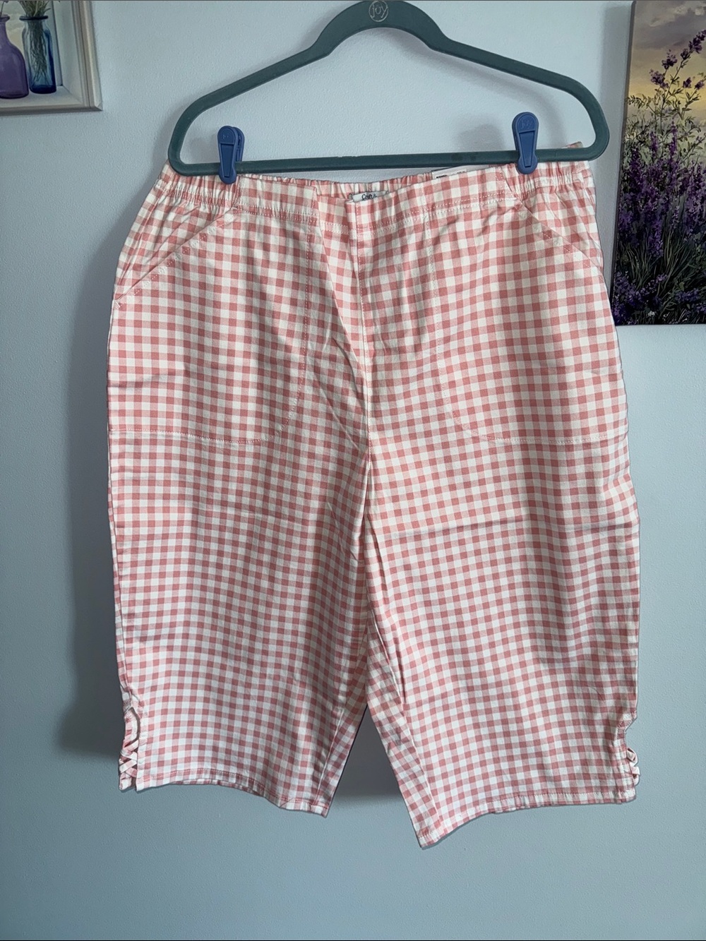 2X Pink Gingham Women’s Skimmer